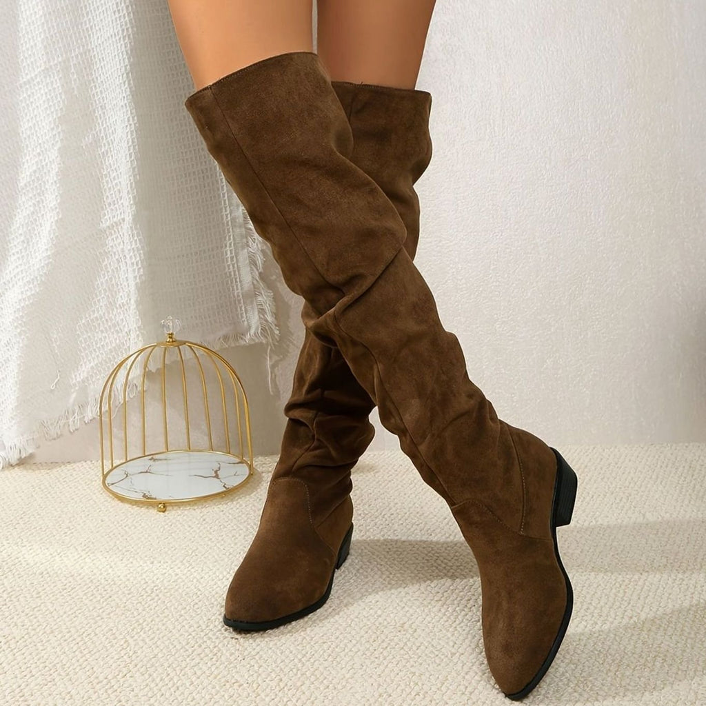 Vista lateral de botas altas de mujer con tacón ancho bajo y punta afilada